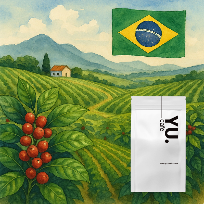 半磅_Brazil classica 巴西_精選咖啡啡