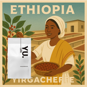 畢奇拉尊爵 雪冽圖 單品咖啡豆 (半磅/包)