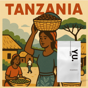 非洲精選 Tanzania 坦尚尼亞咖啡豆（半磅/包）