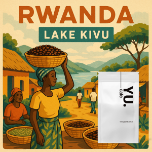 非洲精選 Rwanda Lake Kive 盧安達咖啡豆 (半磅/包)