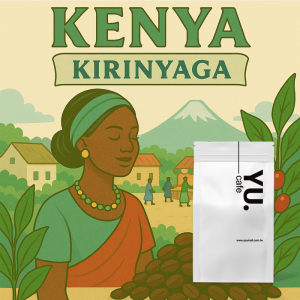 非洲精選 Kenya Kirinyaga-肯亞AA咖啡豆（半磅/包）